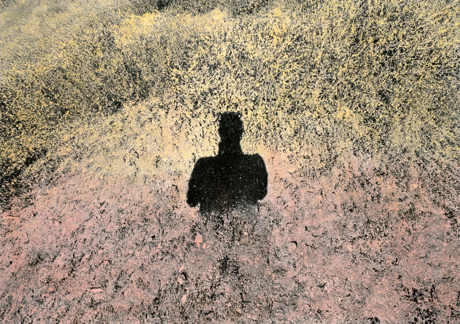 Brea Souders, Untitled #36 (from Vistas), 2019