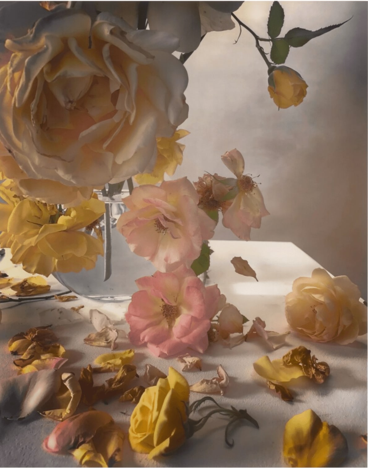 Nick Knight, Sunday 9th July, 2017