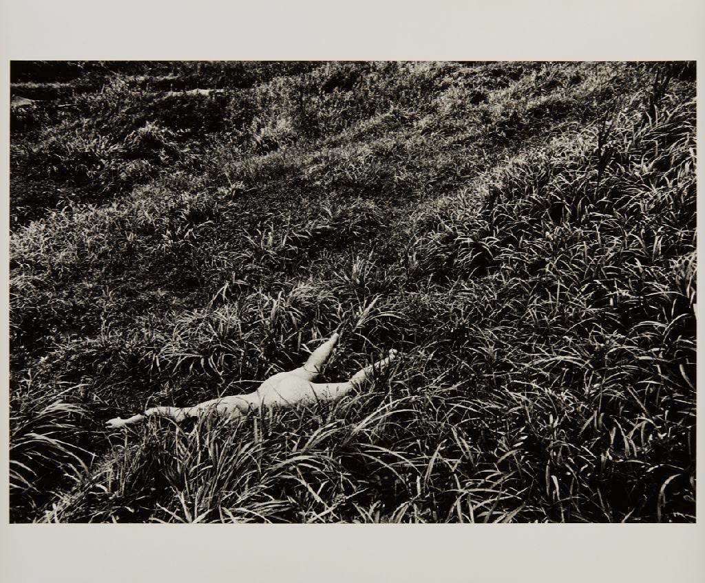 Daido Moriyama, Kagerou (Mayfly), 1972