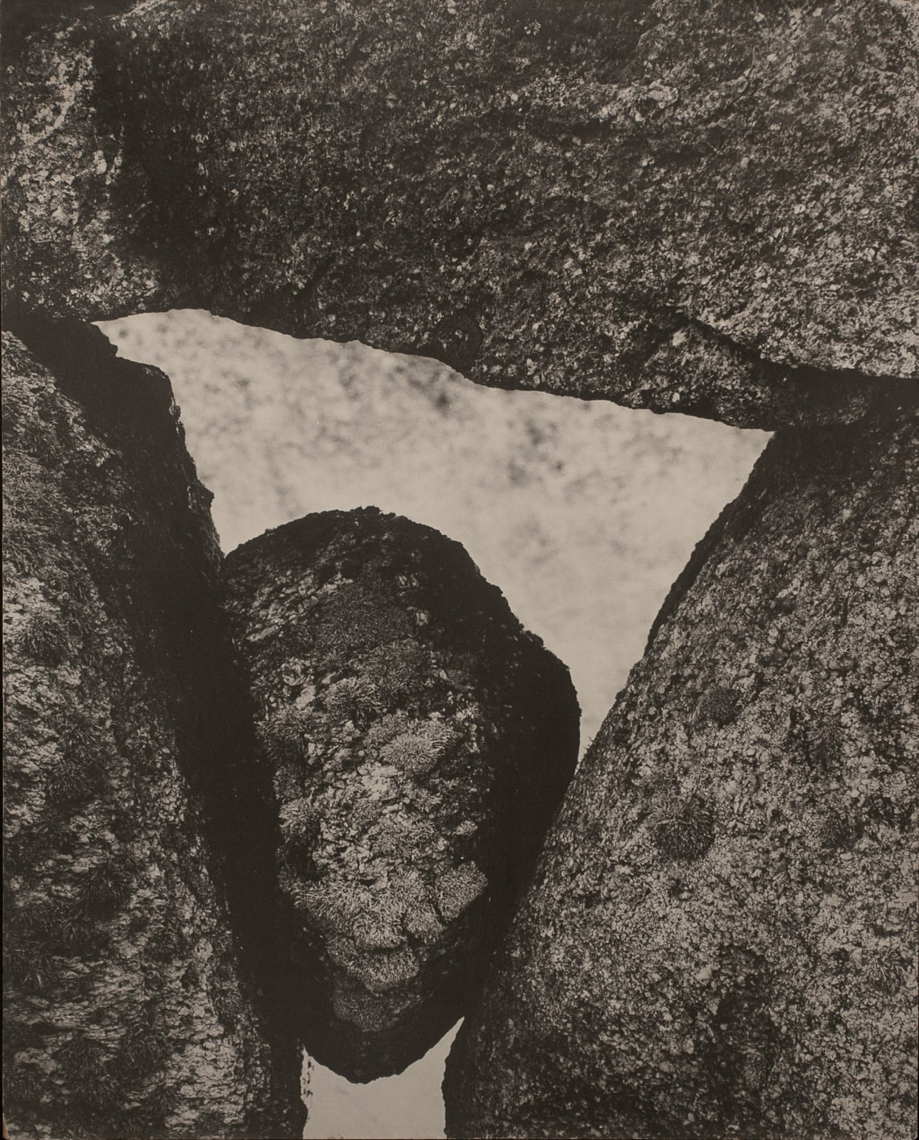 Aaron Siskind, Martha's Vineyard 112, 1954