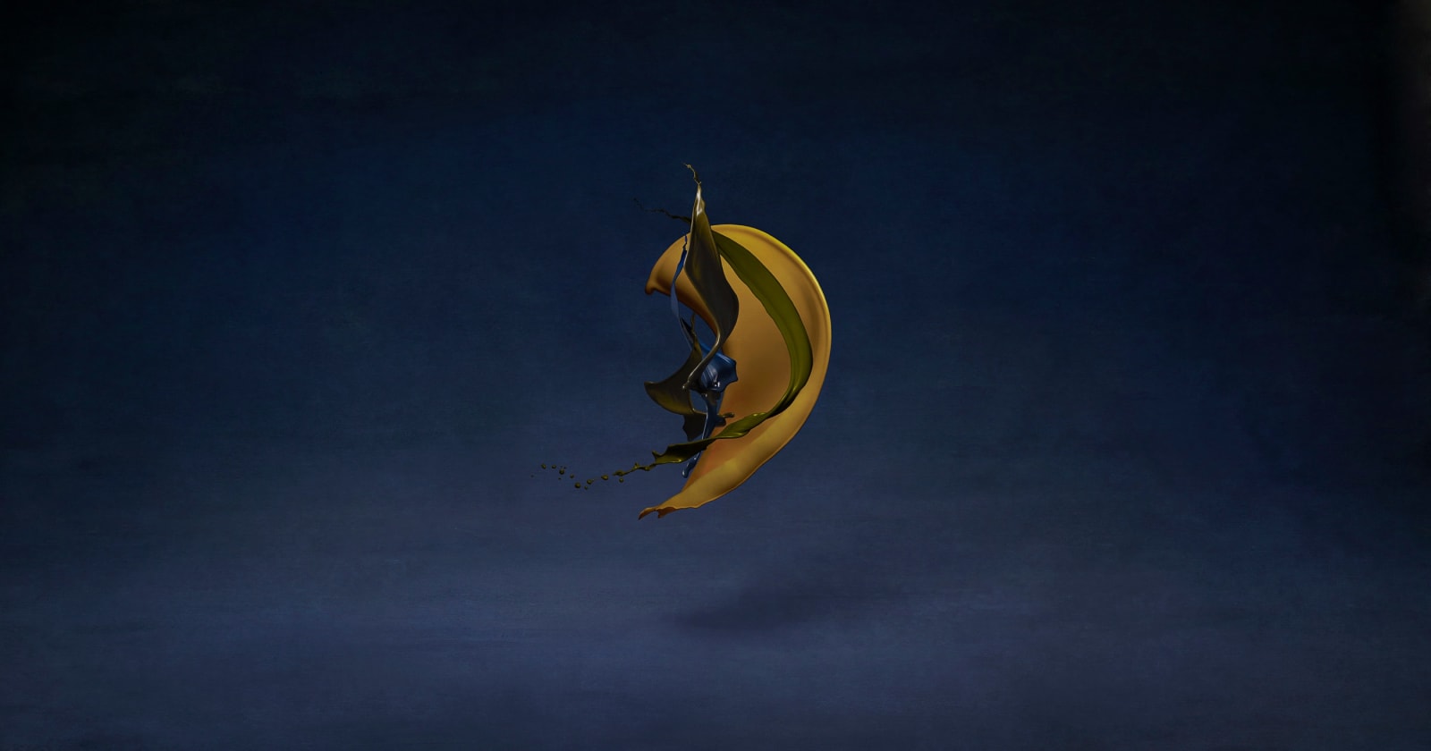 Shinichi Maruyama, Garden #9, 2010