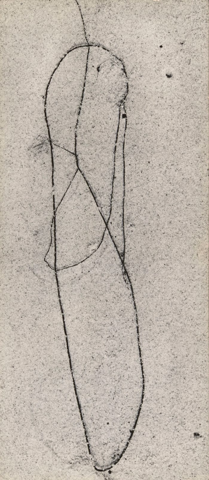 Aaron Siskind, Seaweed, 1948