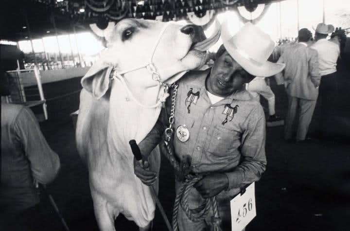 Garry Winogrand, Texas State Fair, Dallas, c. 1974