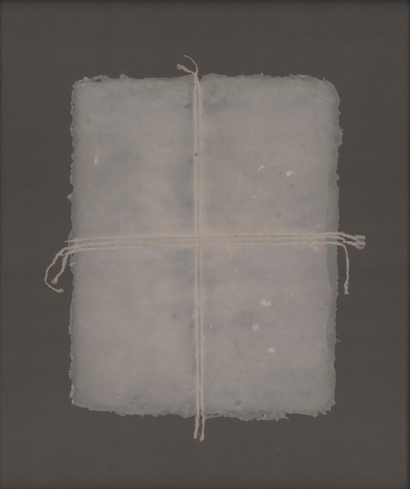 Dakota Mace, Akágí (Skin) I, 2018