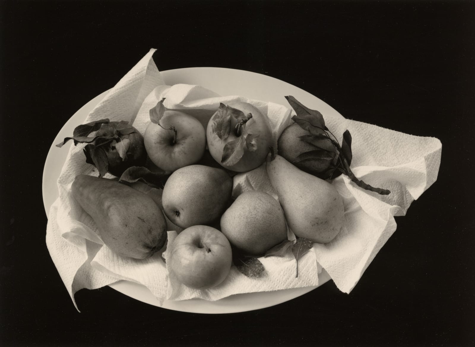 Paul Caponigro, Still-Life, Fruit Bowl, 1999