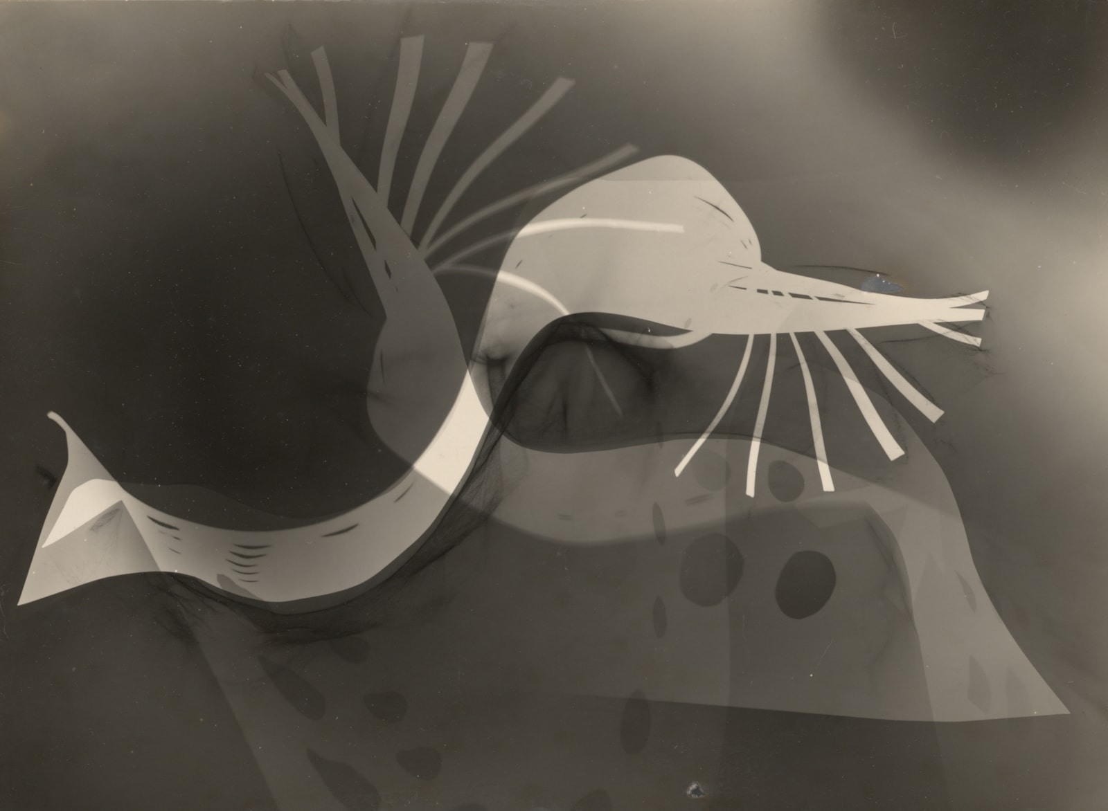 Laszlo & George Barford Moholy-Nagy, Untitled, 1939