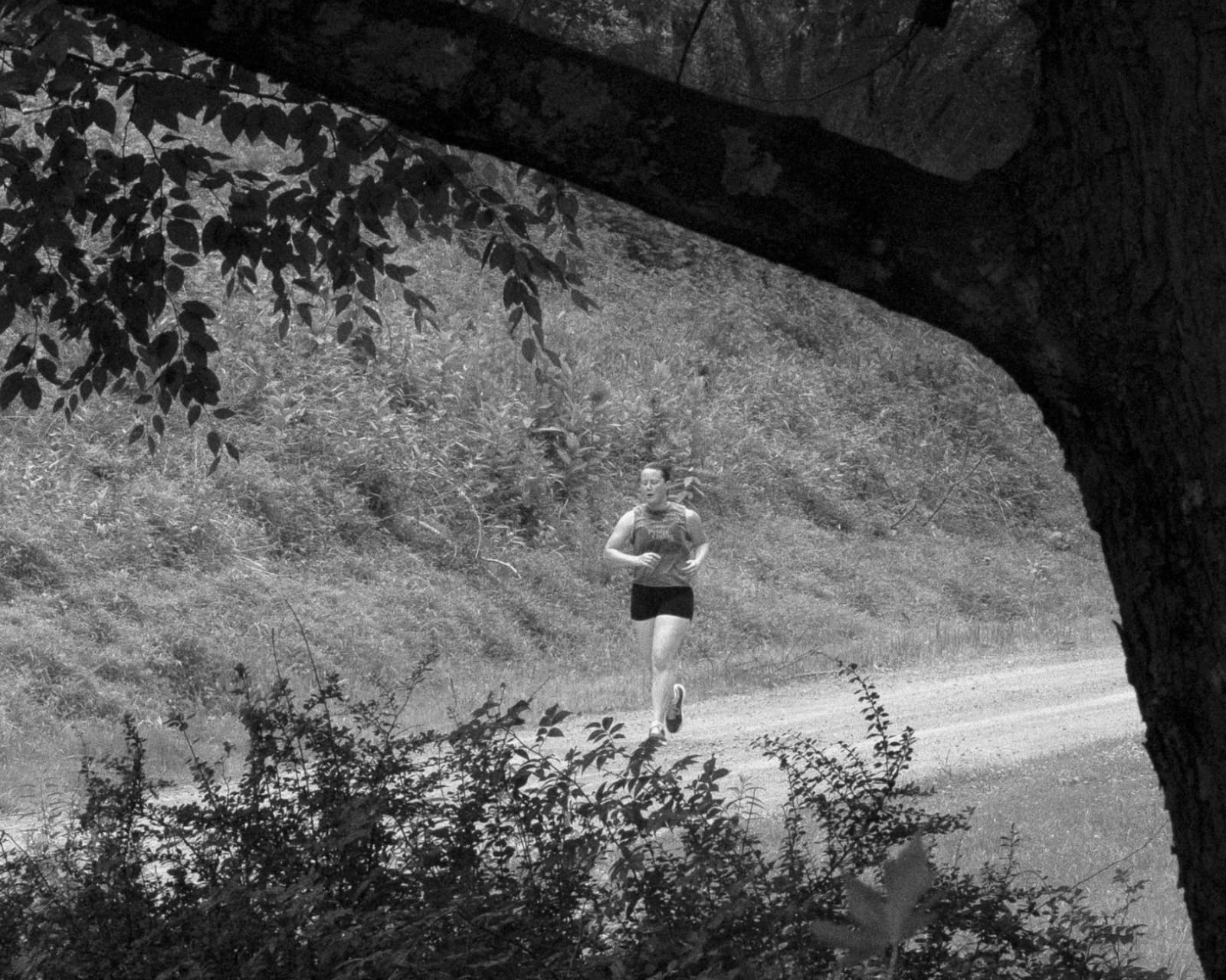 Brea Souders, End of the Road #68, 2020