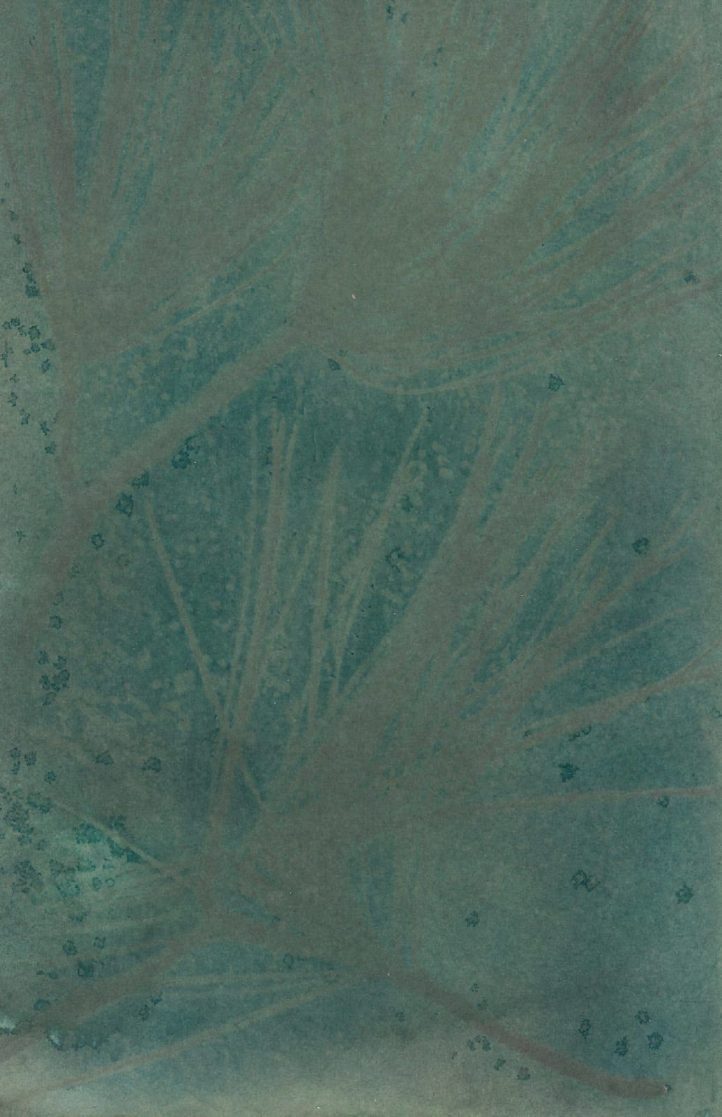 Dakota Mace, Tó (Water) II, 2021