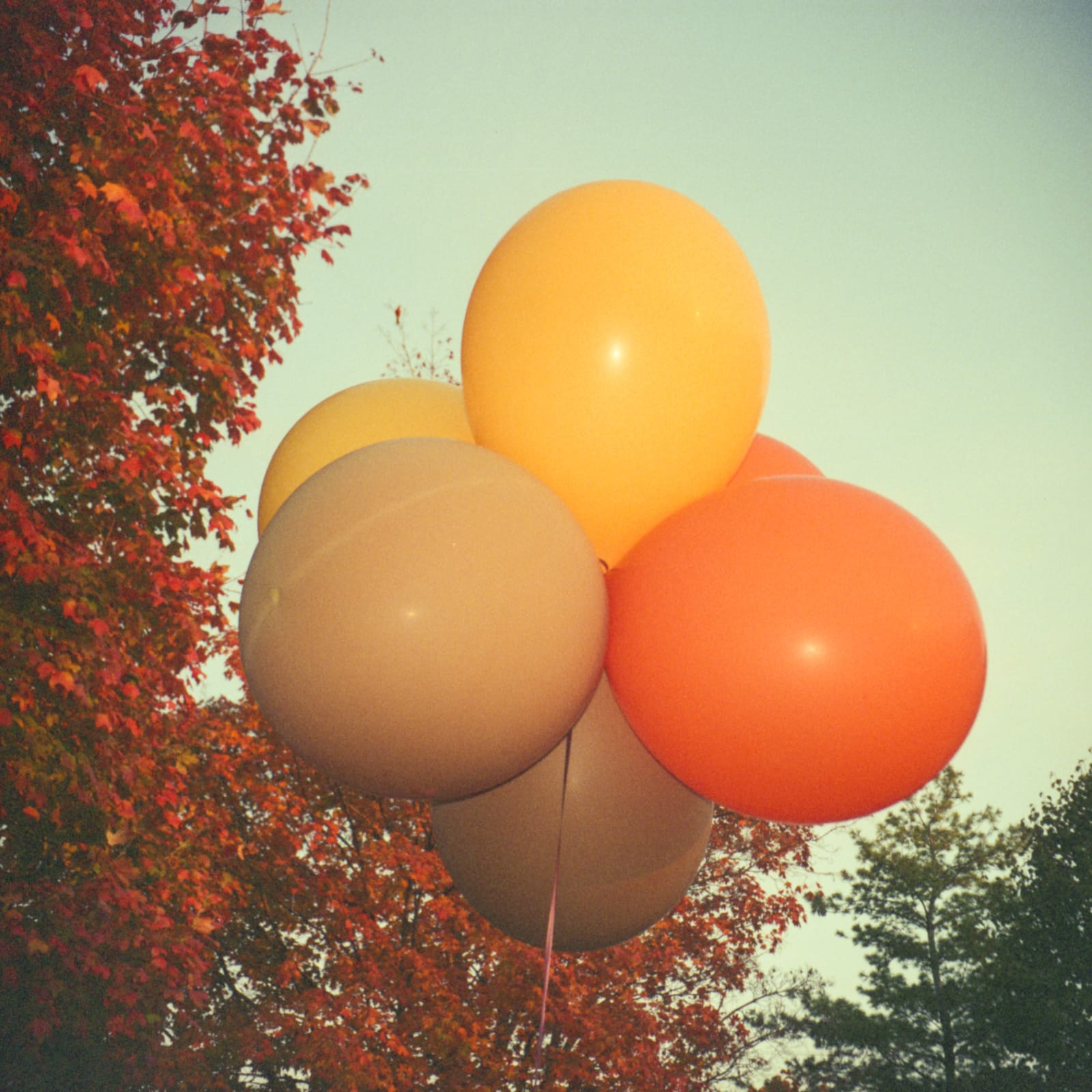Todd Hido, 7210-a, 2008