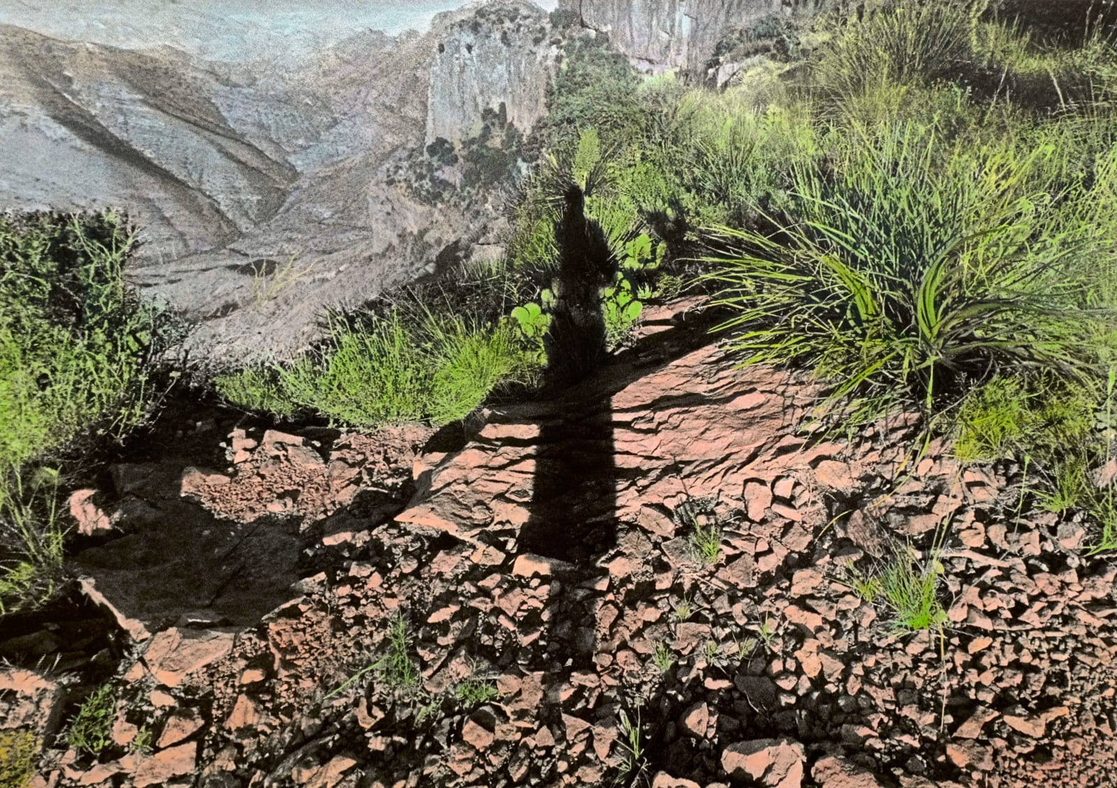 Brea Souders, Untitled #23 (from Vistas), 2019