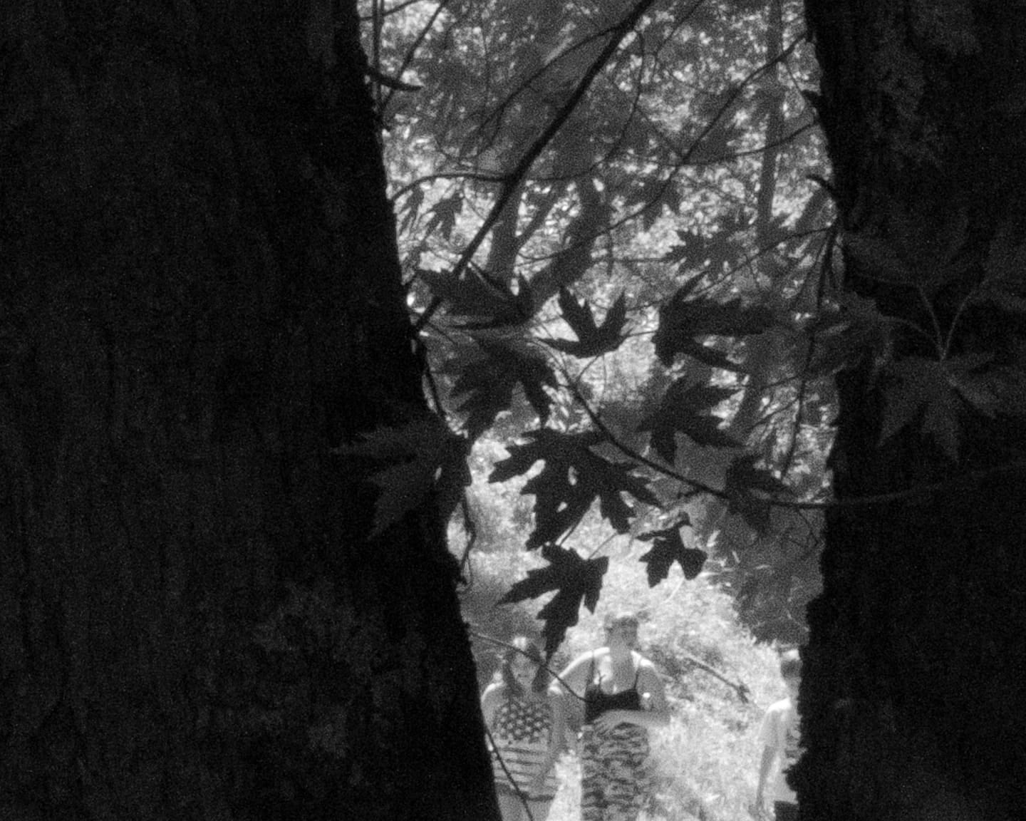 Brea Souders, End of the Road #48, 2020