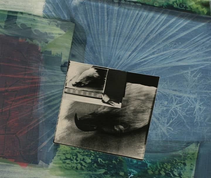 John Wood, Eagle Pelt, 1988