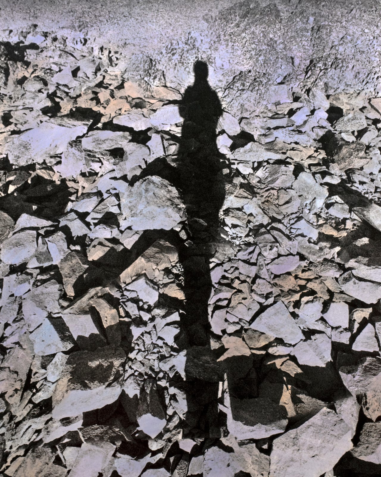 Brea Souders, Untitled #26 (from Vistas), 2019