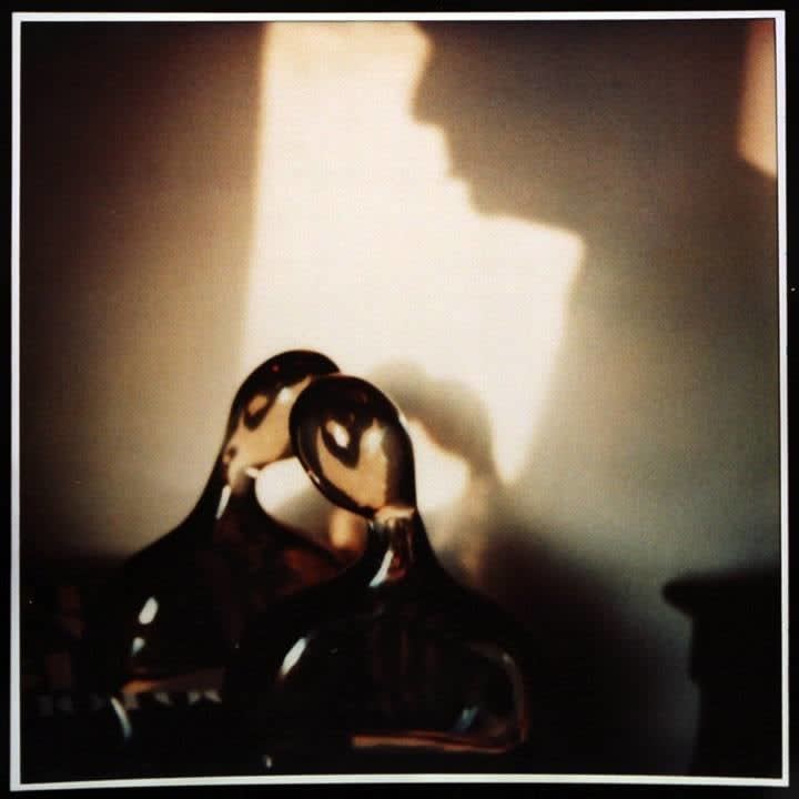 André Kertész, November 15, 1979