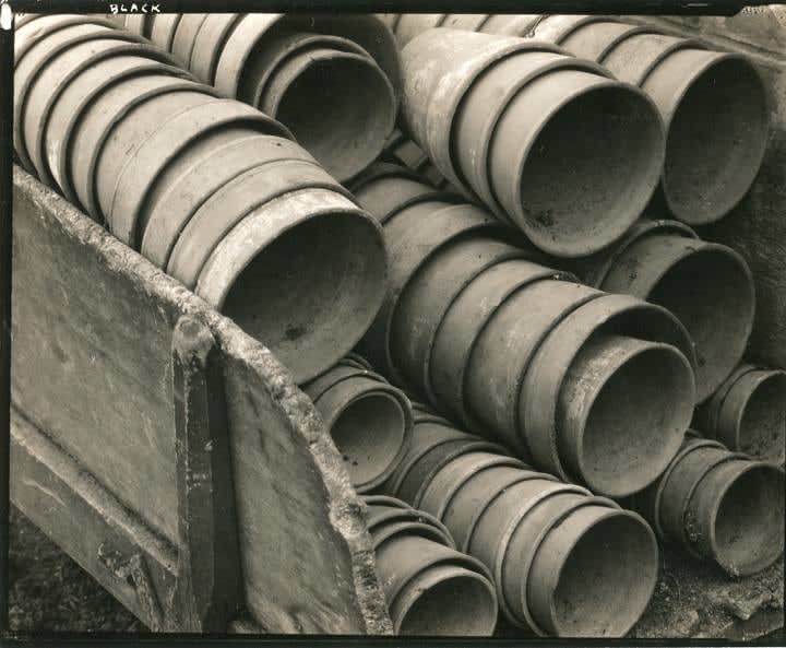 Edward Steichen, Flower Pots, 1925