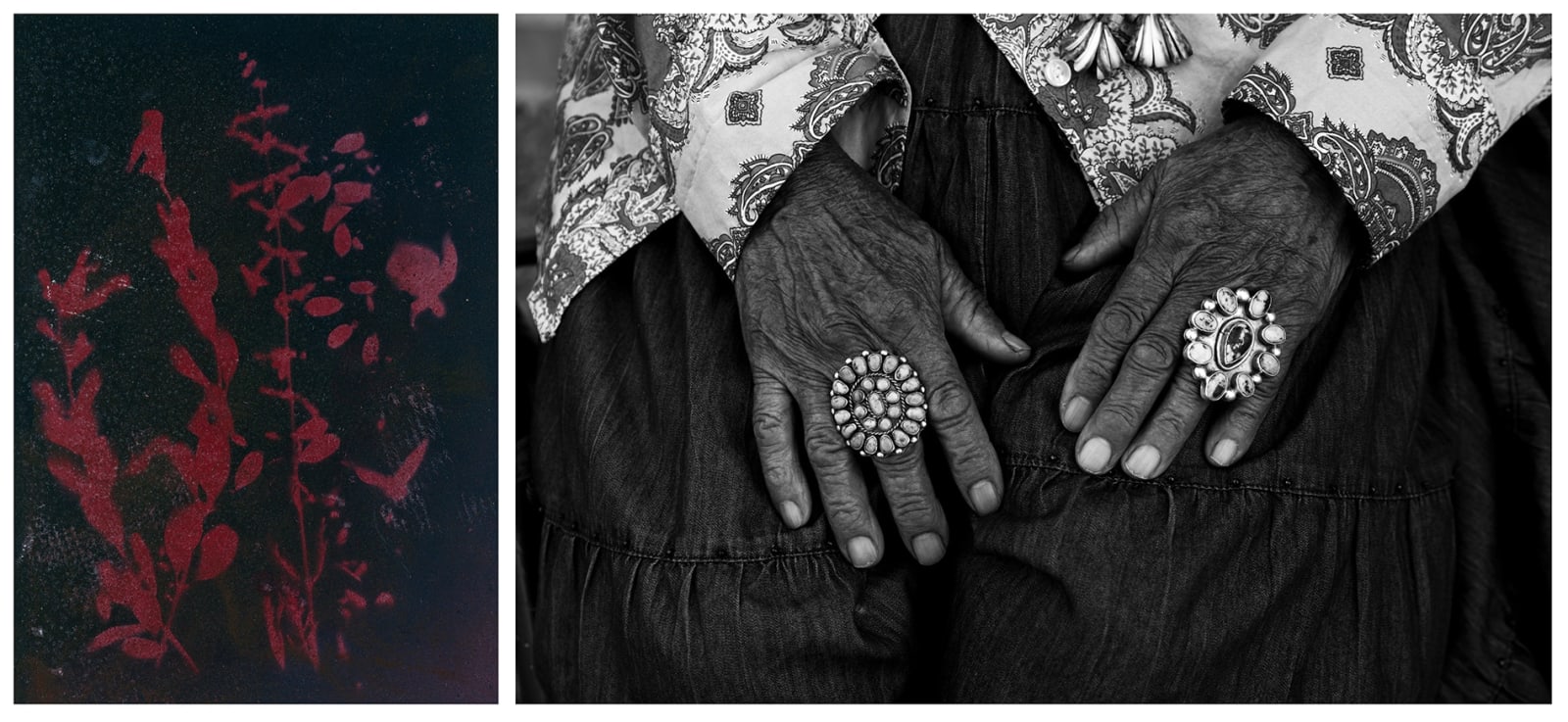 Dakota Mace, Helen Nez-Diné Elder Dahodiyinii (Sacred Places), 2021