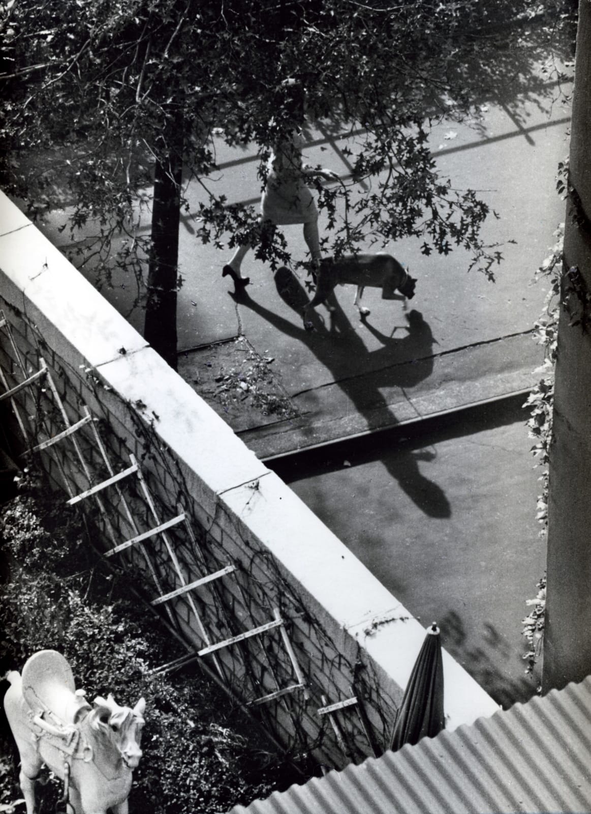 André Kertész, New York (Woman Walking Dog), 1962