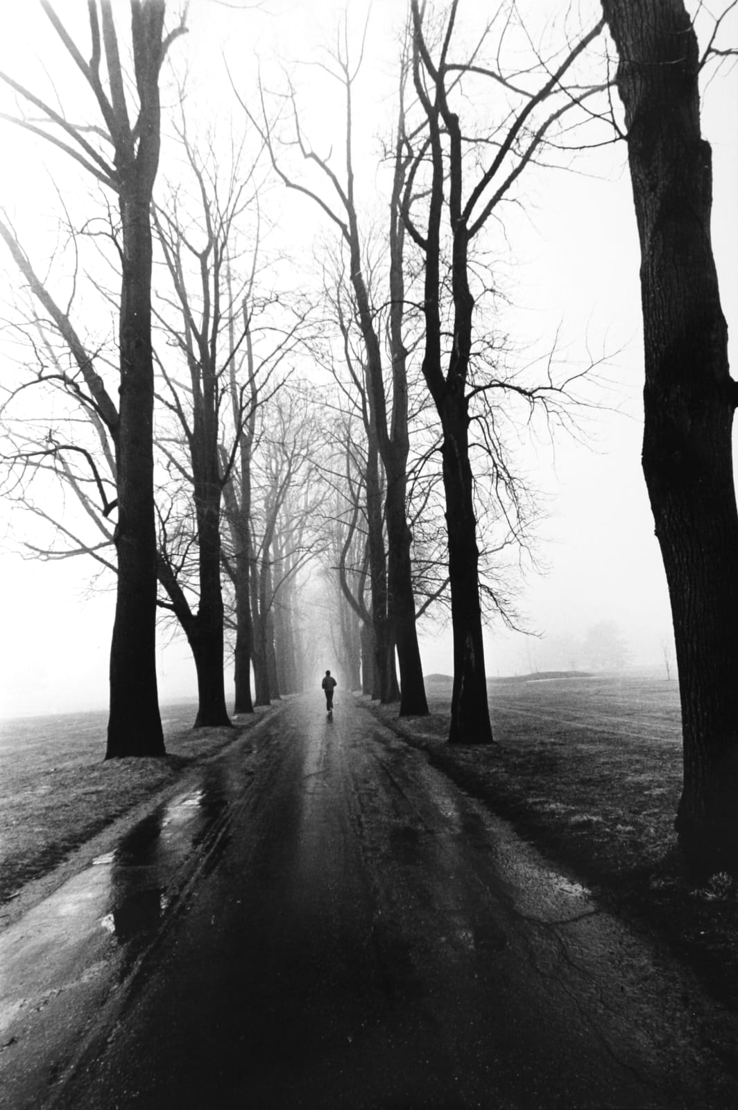 Larry Silver, Jogger, 1979