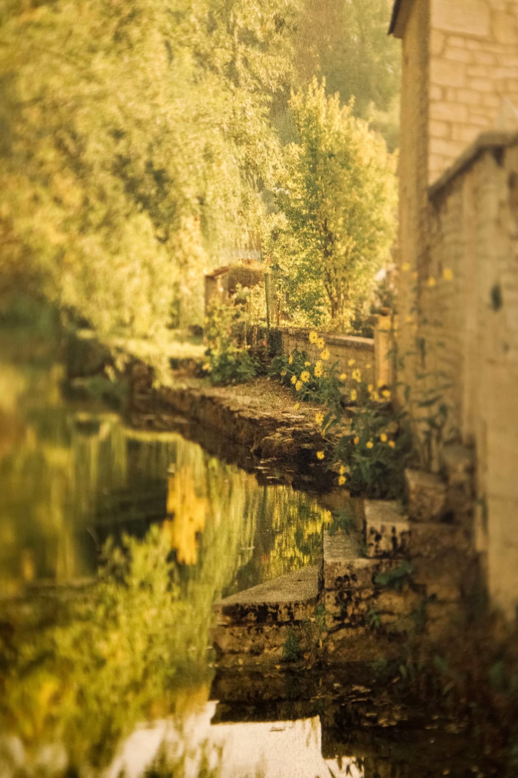 Elger Esser, Chamesson, 2018