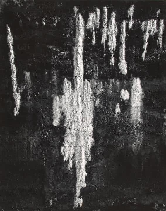 Frederick Sommer, The Wall, 1951