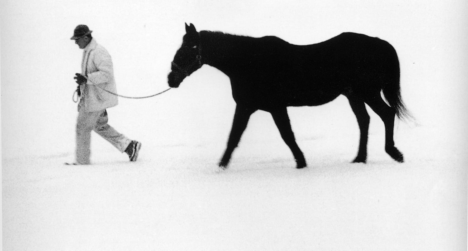Larry Silver, Man and Horse, Hunt Club, Westport, CT, 1984
