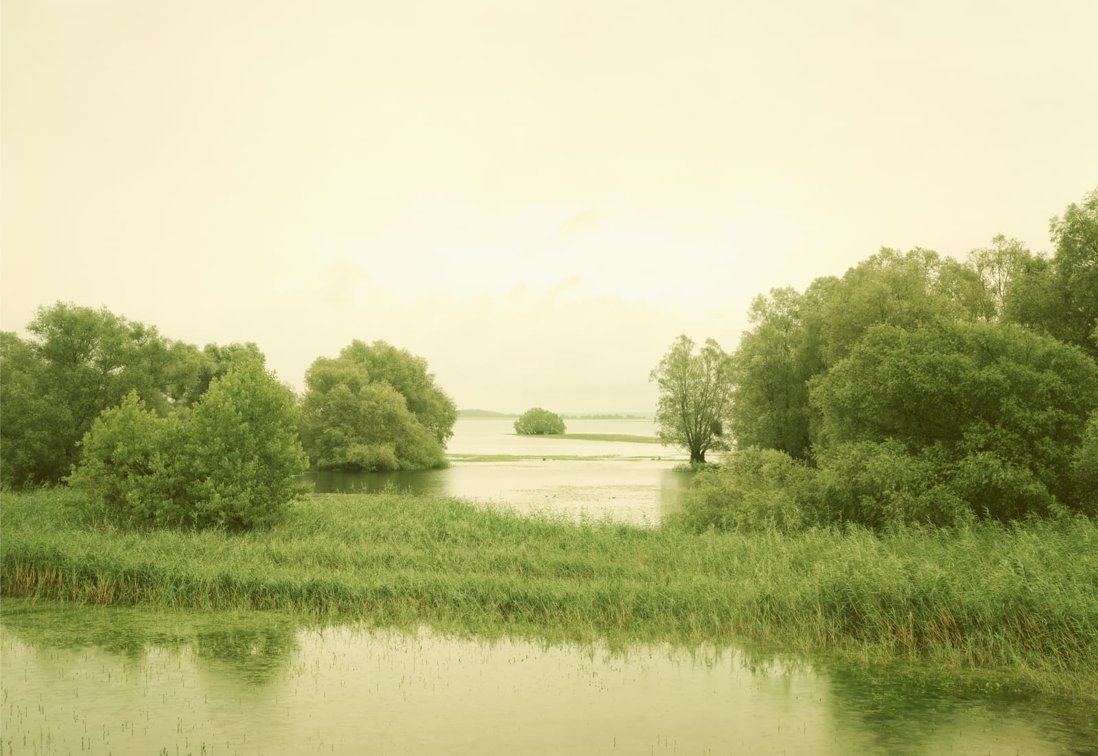 Elger Esser, Lac de Chantecoq I, 2017