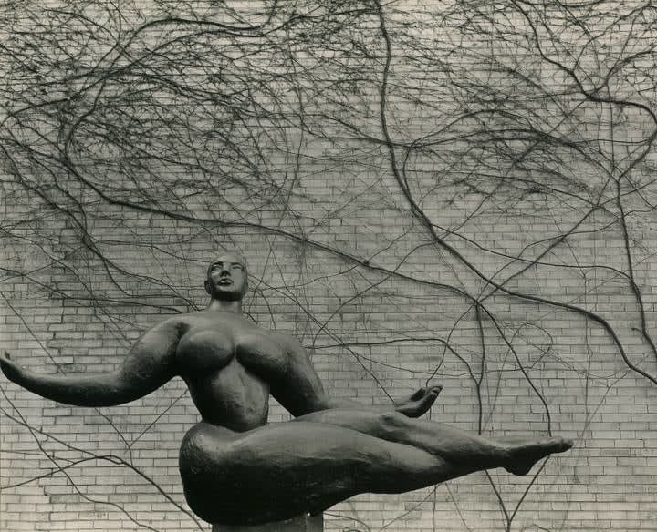 Brett Weston, New York, MOMA Garden, 1945