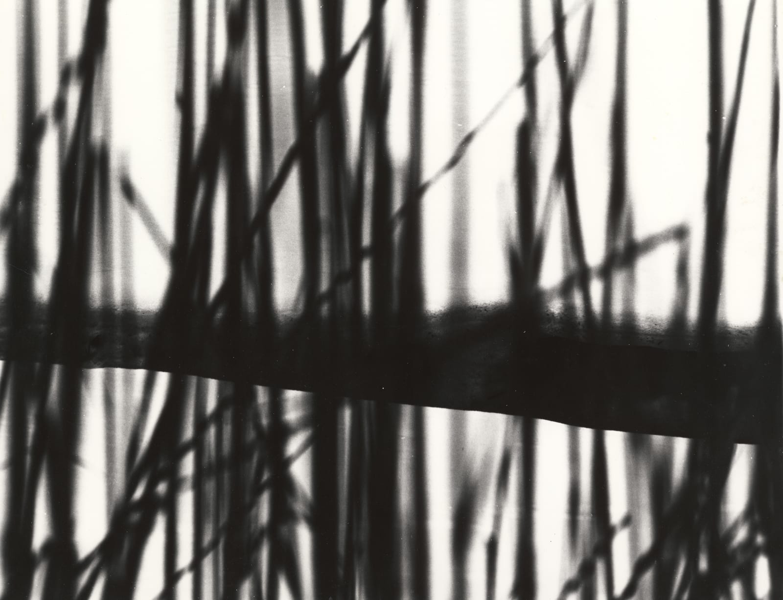 Larry Silver, Water #10, 2005