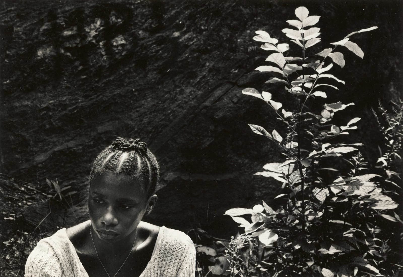 Louis Draper, Dorothy Gloster, New York, 1976