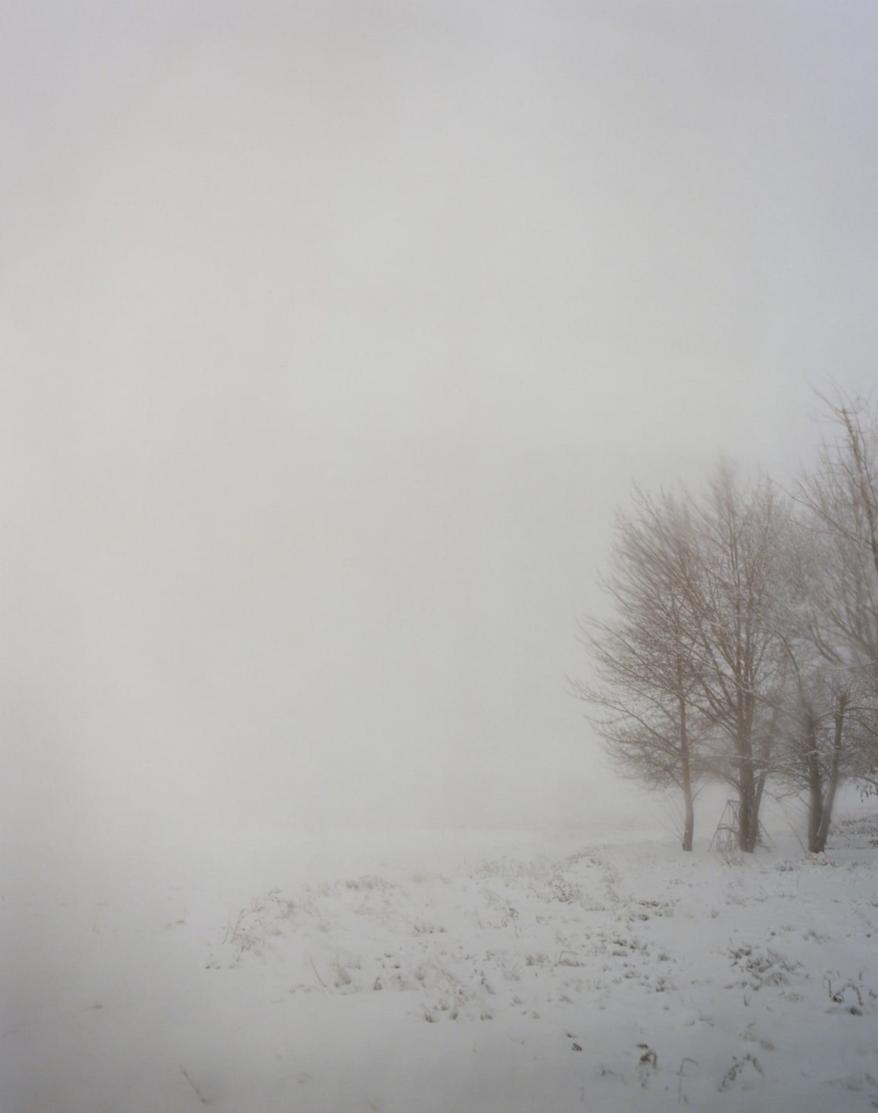 Todd Hido, #7412, 2008