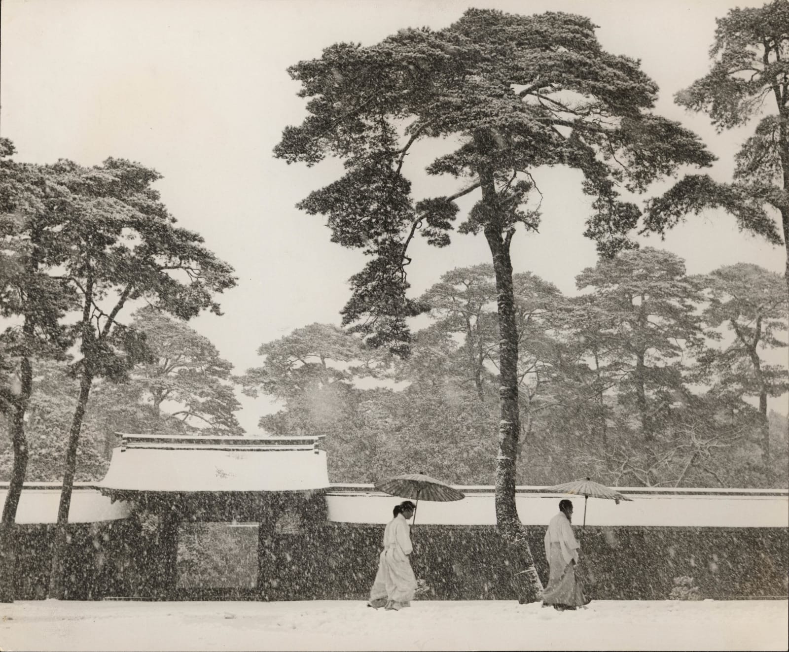 Werner Bischof, Courtyard of the Meiji Shrine, Tokyo, Japan, 1951
