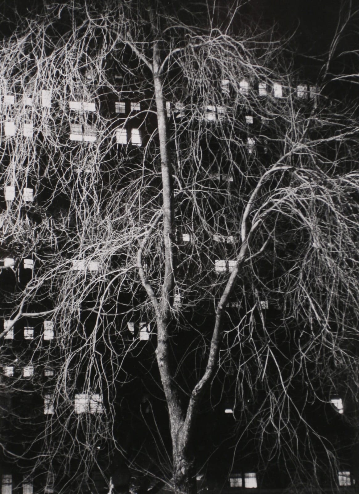 André Kertész, Washington Square Park West, Evening, February 10-15, 1958