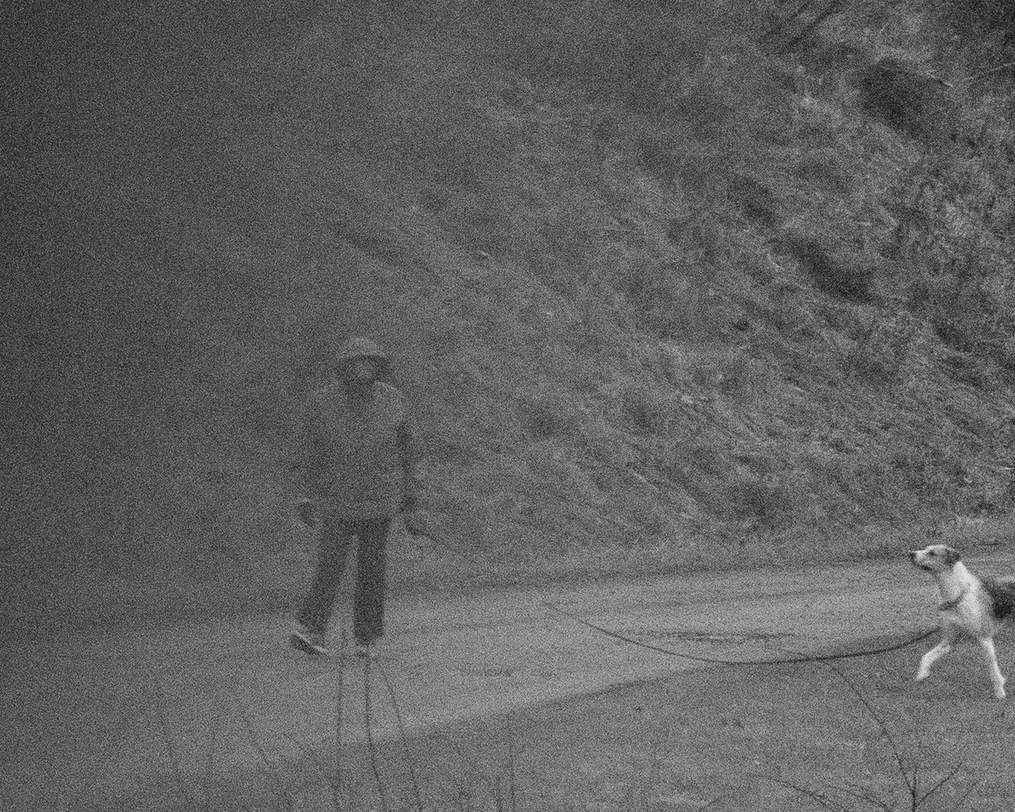 Brea Souders, End of the Road #50, 2020