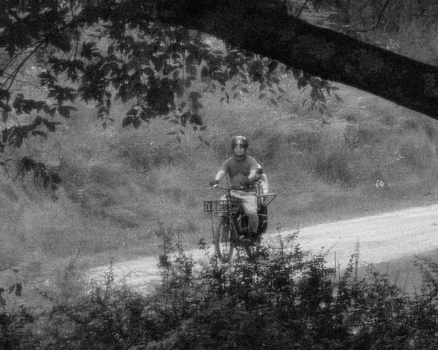 Brea Souders, End of the Road #45, 2020