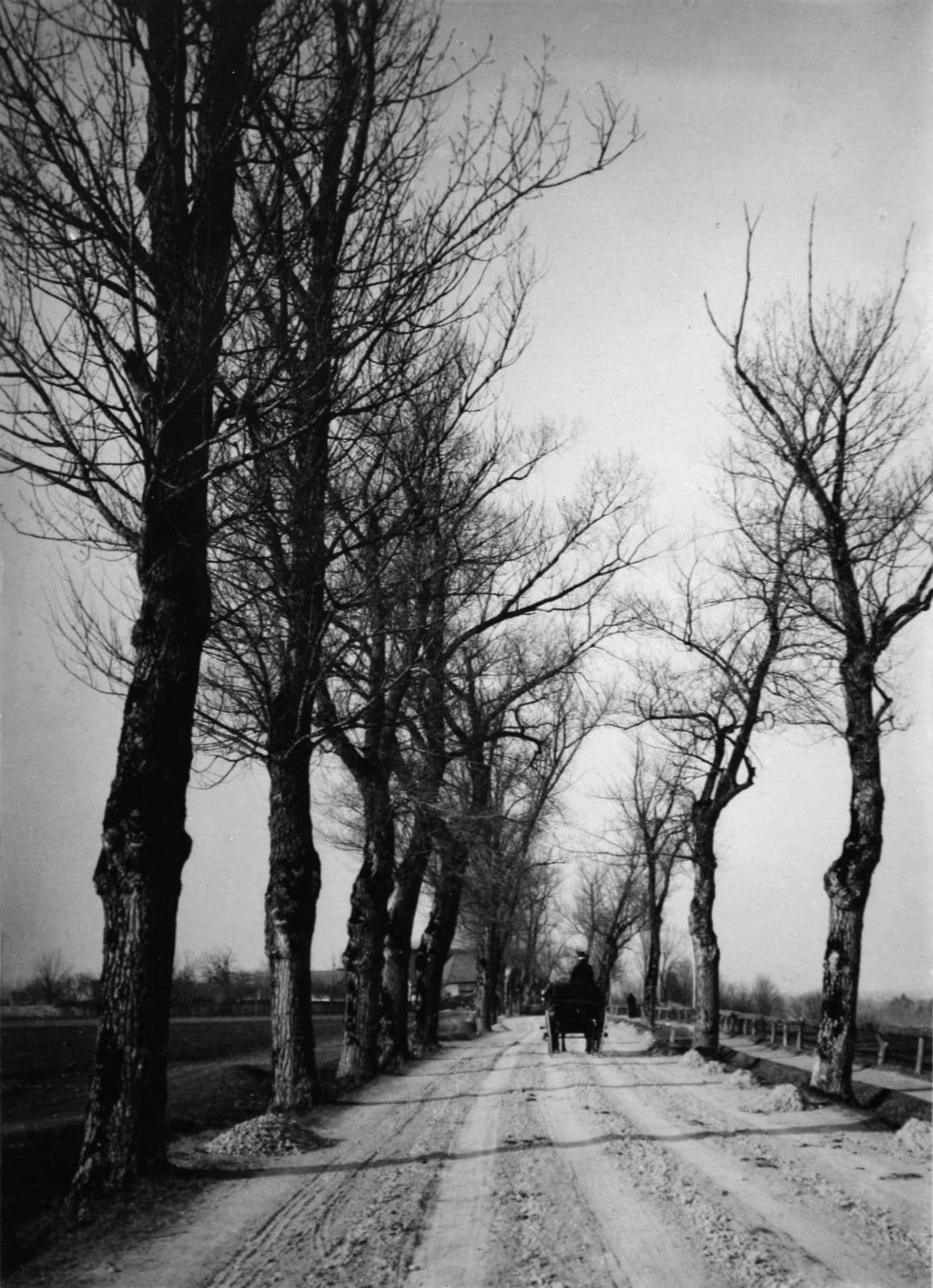Alfred Stieglitz, November Days, Munich, 1884