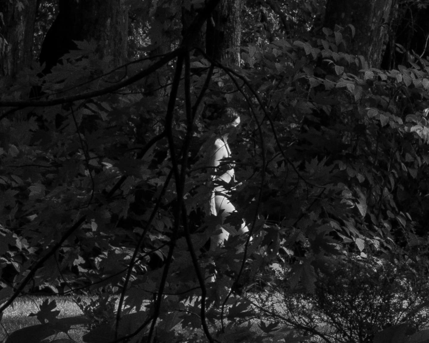 Brea Souders, End of the Road #37, 2020