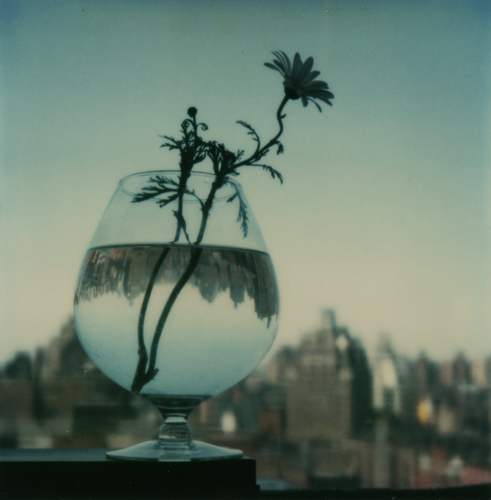 André Kertész, May 2, 1979