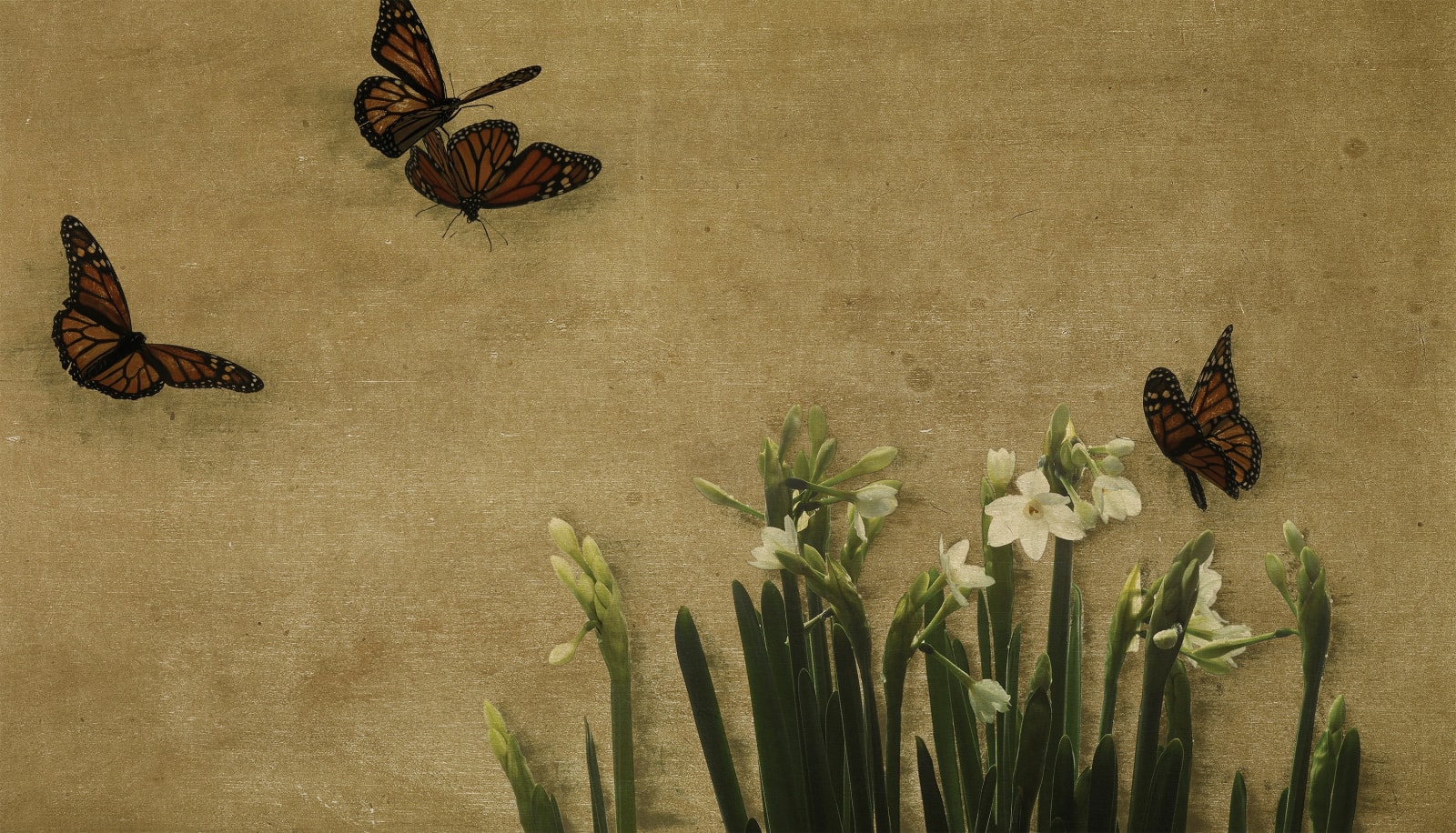 Shinichi Maruyama, Tefutefu, 2006