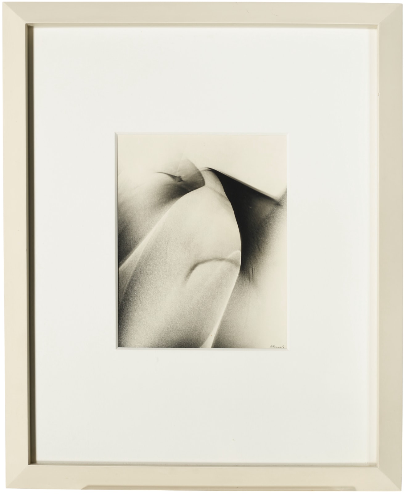 Lotte Jacobi, Photogenic Drawing, 1950s