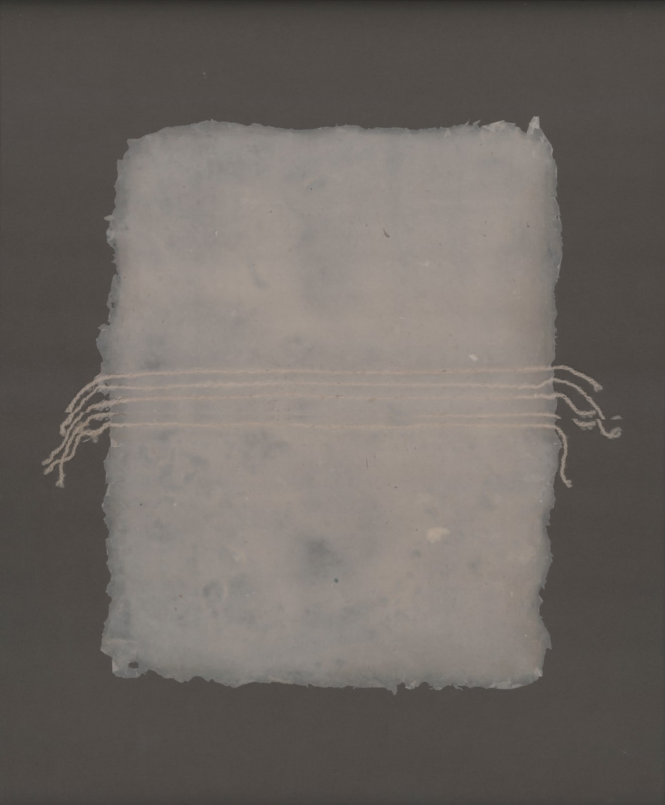 Dakota Mace, Akágí (Skin) II, 2018