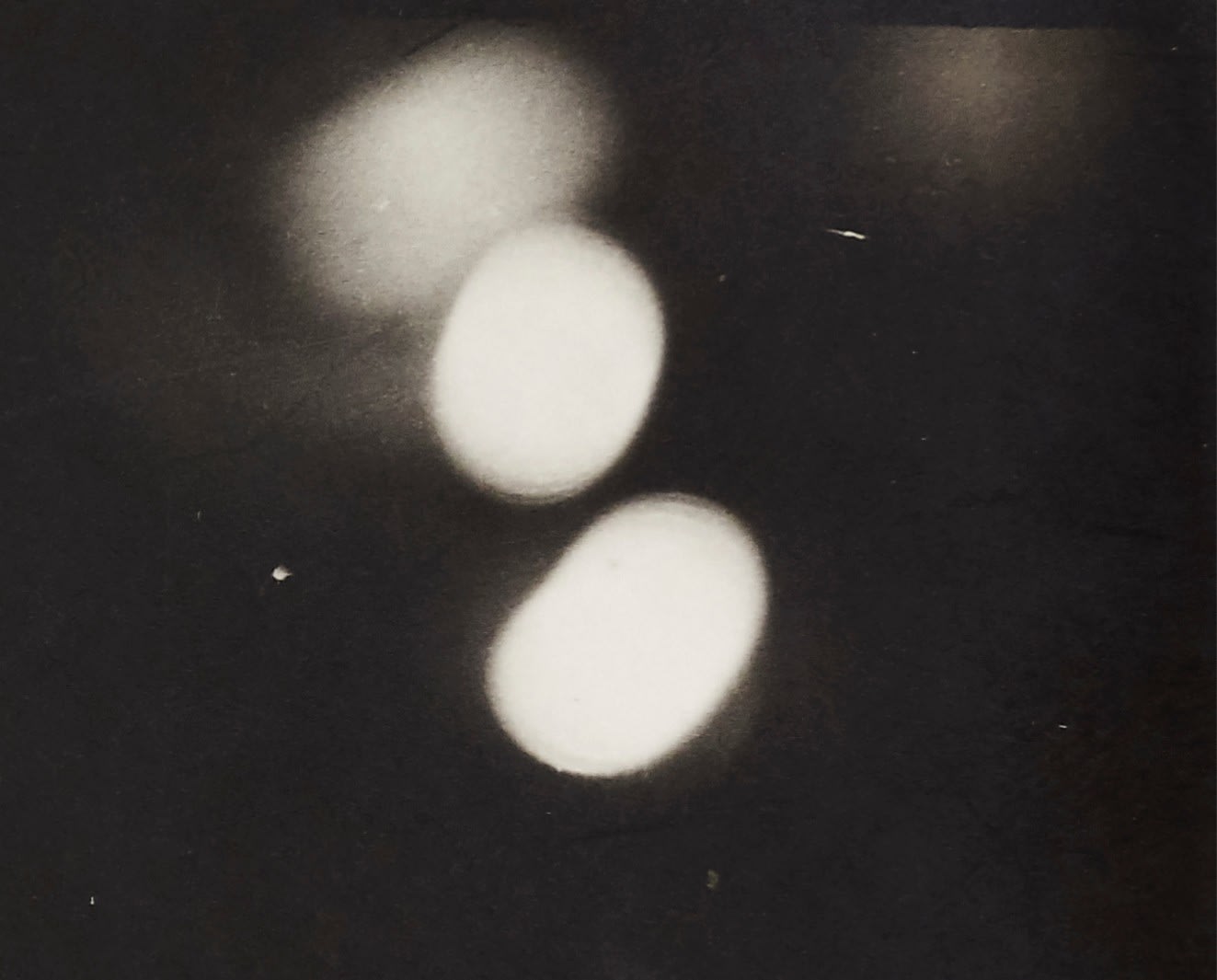 Man Ray, L'etoile de mer, 1928