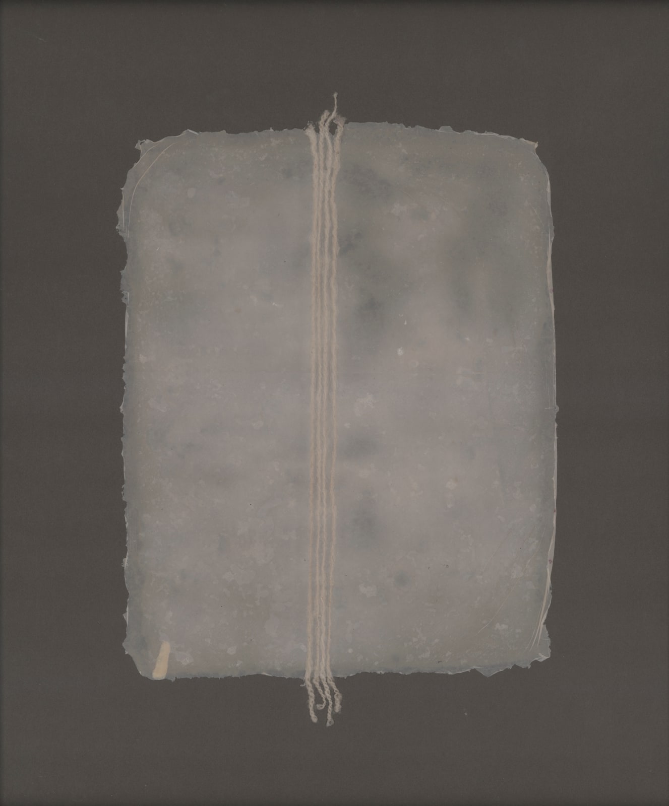 Dakota Mace, Akágí (Skin) III, 2018