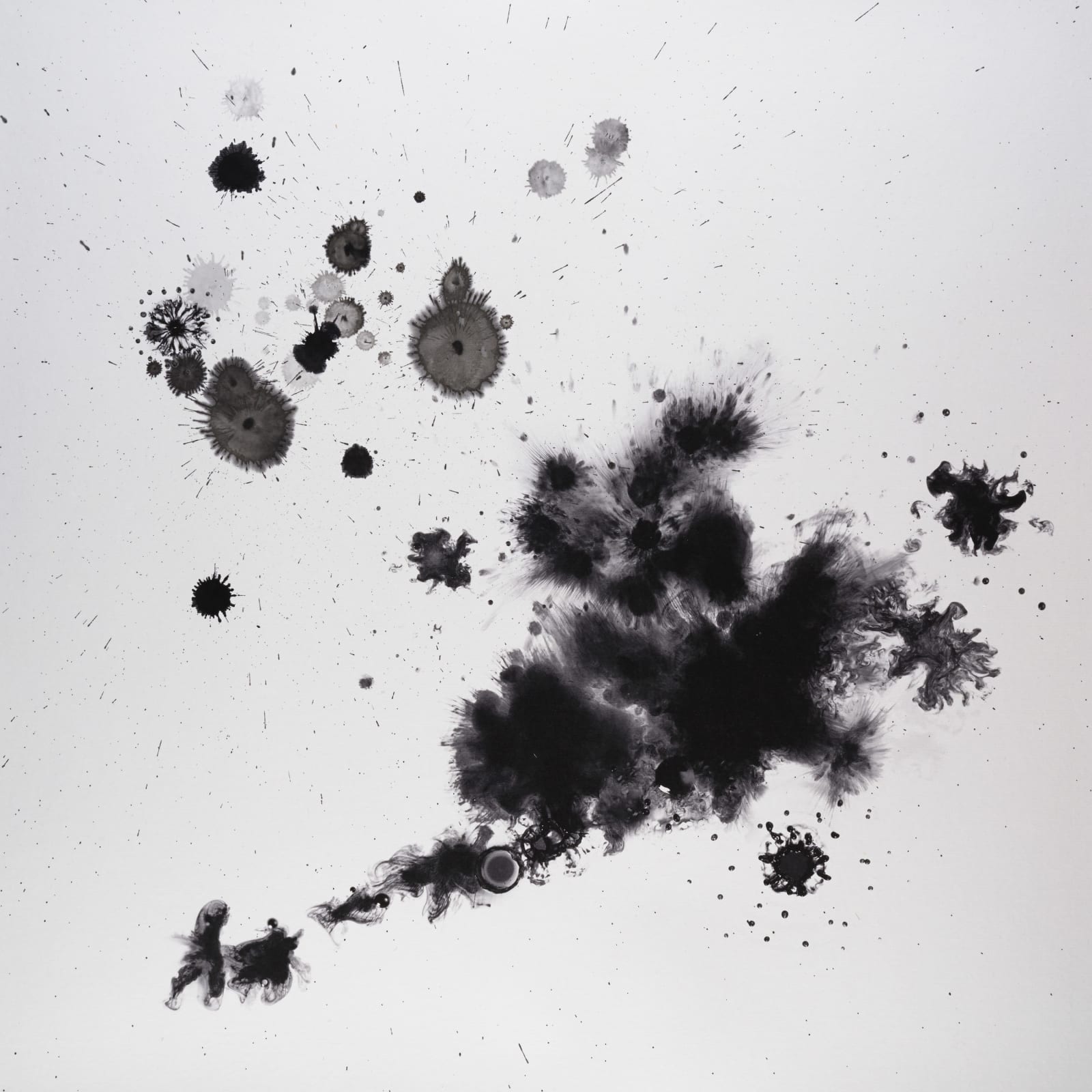Shinichi Maruyama, Kusho #28, 2013