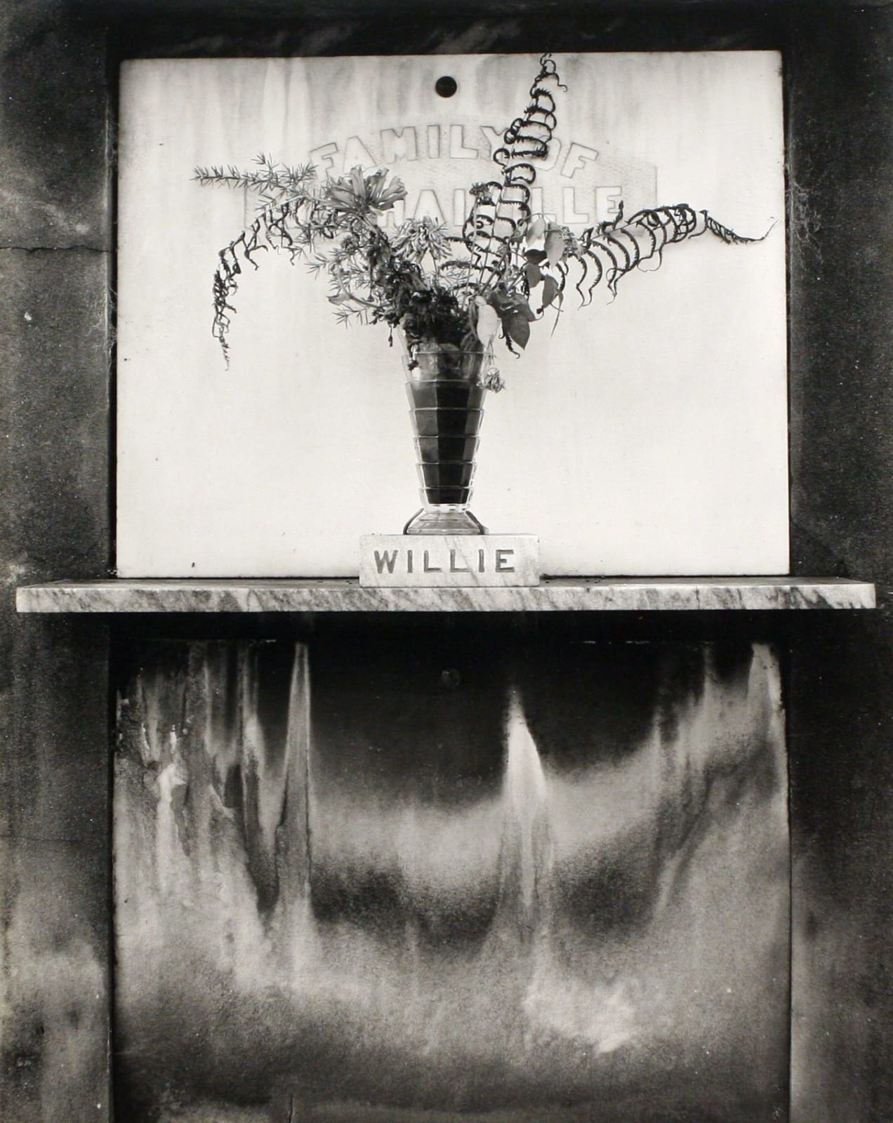 Edward Weston, Willie, New Orleans, 1941, printed c. 1951-52