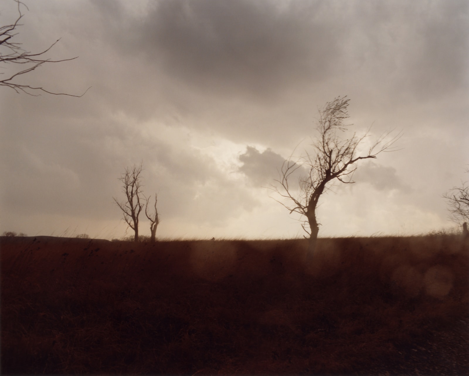 Todd Hido, #5462, 2006