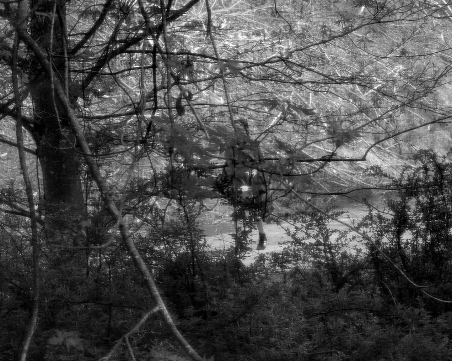 Brea Souders, End of the Road #63, 2020