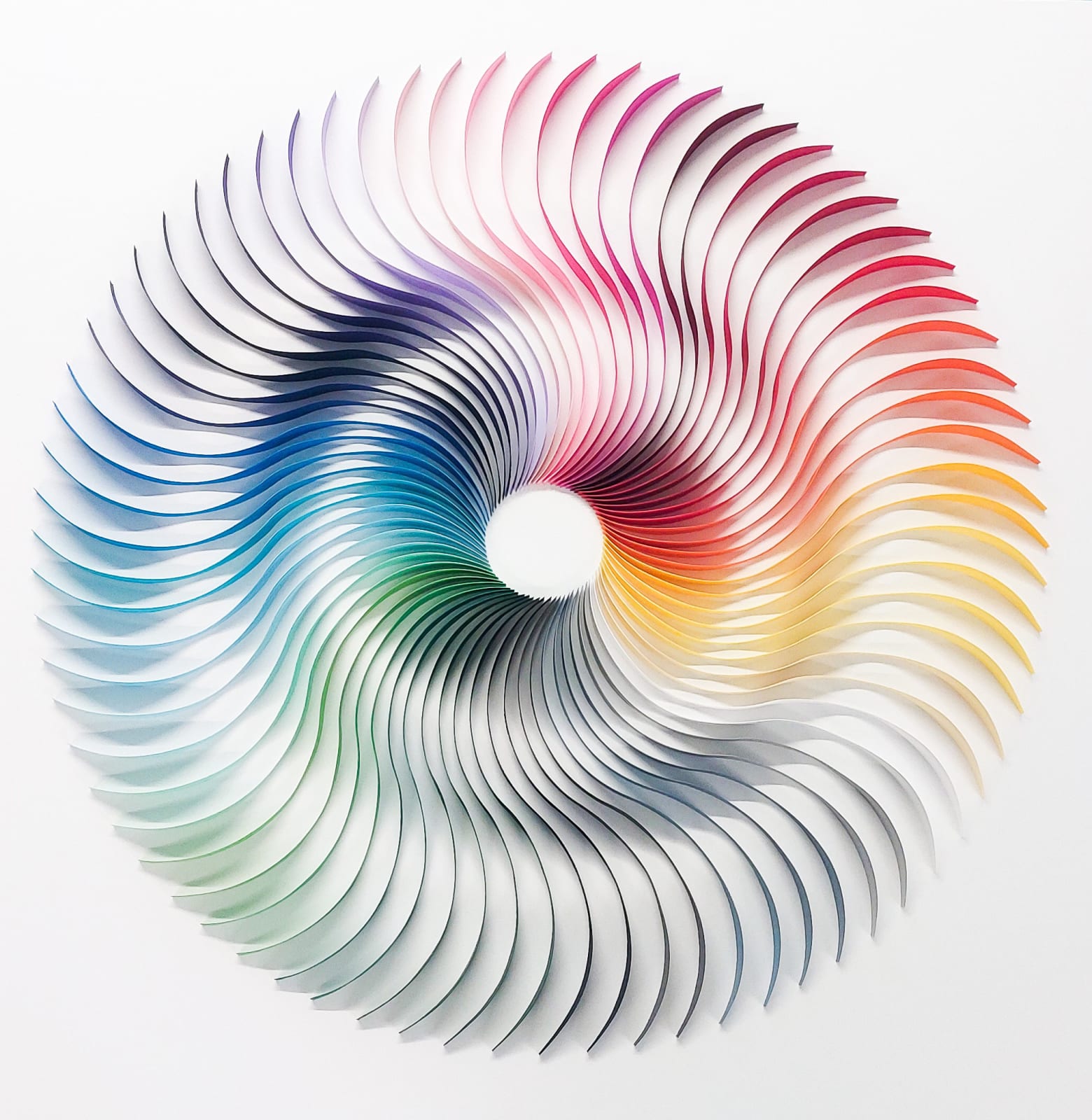 Miriam Fitzgerald, Reflexions 38-1