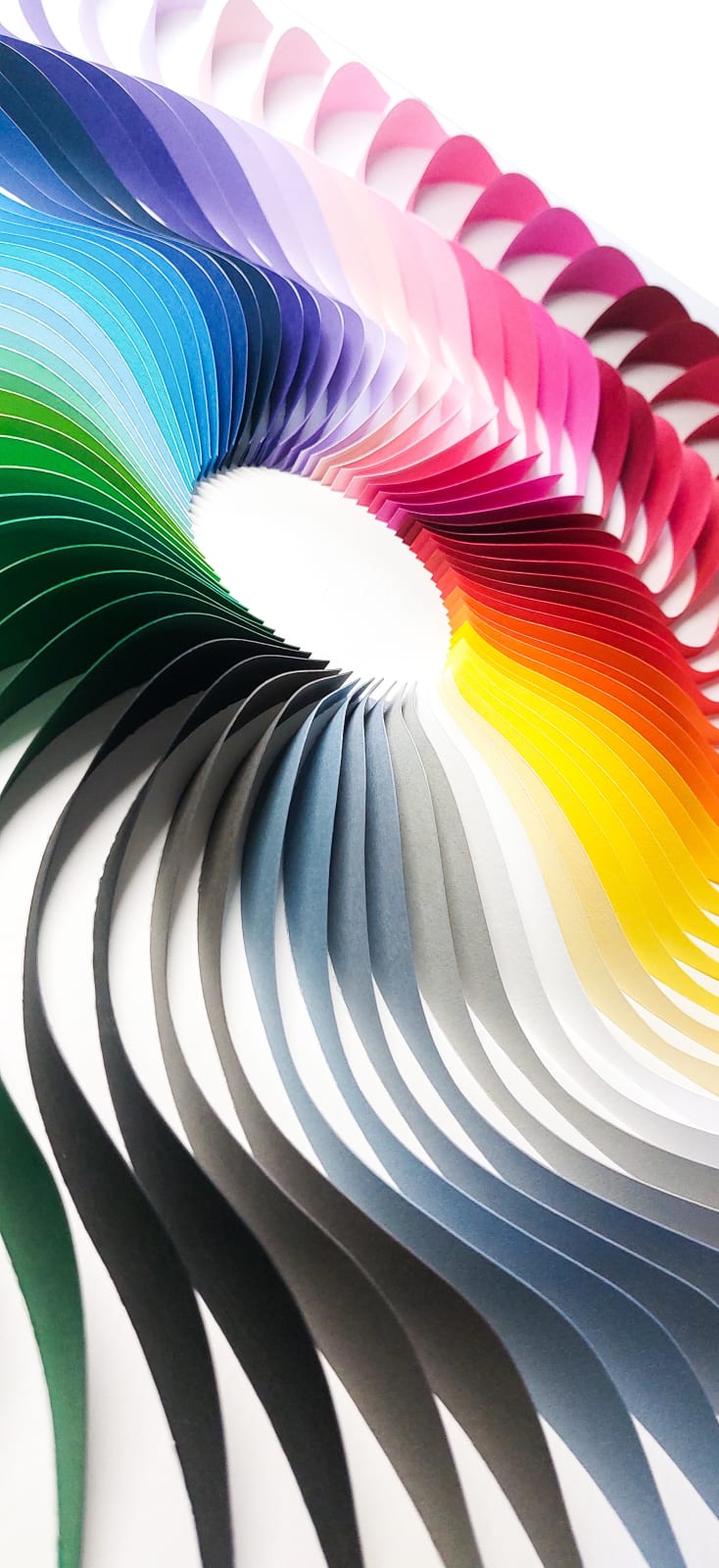 Miriam Fitzgerald, Reflexions 38-1