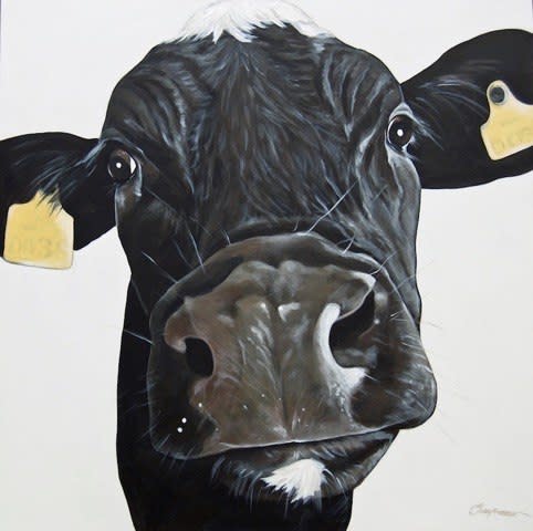 Debbie Chapman, Freisian 0038