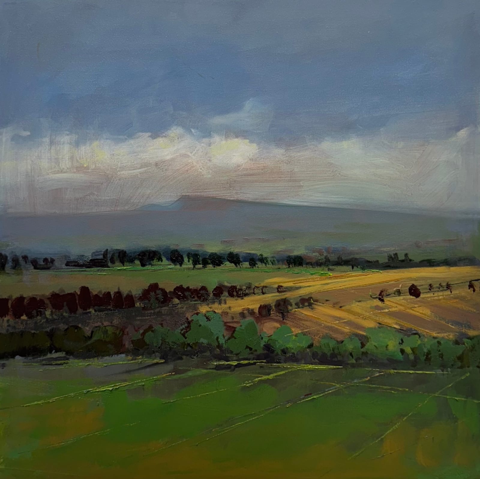 Kate Beagan, Looking across the Belgooly river, 2025